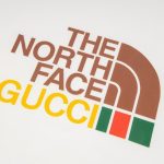 T-Shirt Gucci The North Face White GC041 - Image 4