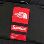 Jacket Supreme x The North Face Statue of Liberty TNF005 - Image 27