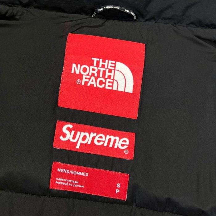 Jacket Supreme x The North Face Statue of Liberty TNF005 - Image 27