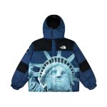 Jacket Supreme x The North Face Statue of Liberty TNF005 - Image 9