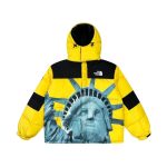 Jacket Supreme x The North Face Statue of Liberty TNF005 - Image 7