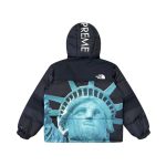 Jacket Supreme x The North Face Statue of Liberty TNF005 - Image 4