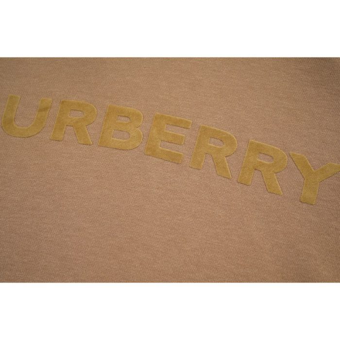Burberry Logo Hoodie BY024 - Image 3