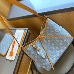 Louis Vuitton CarryAll PM Bag LV264
