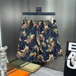 Shorts Louis Vuitton LV224 - Image 7