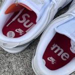 Supreme x Nike SB Dunk Low NK089 - Image 3