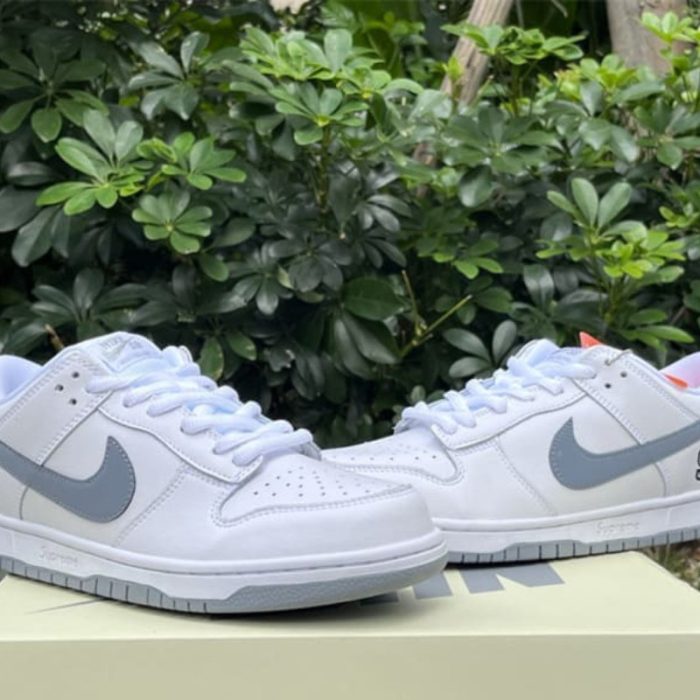 Supreme x Nike SB Dunk Low NK089 - Image 4